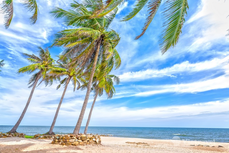 Phan Thiết - Mũi Né - Bàu Trắng - Check In Cực Chất Tại Mango Beach - Thưởng Thức Âm Nhạc Bên Bờ Biển 